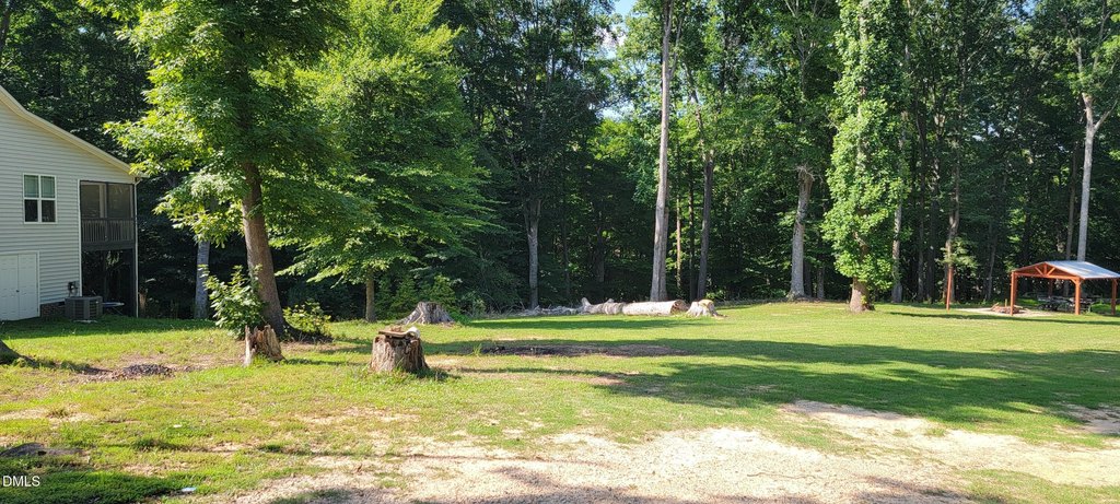 Picture 3