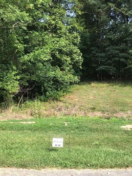Wooded Hillside Recreation Lots