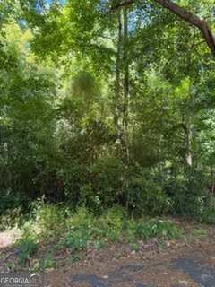 LAND - Newnan, GA