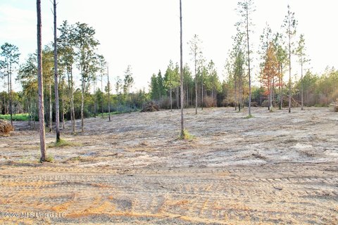 Land, Lucedale, MS