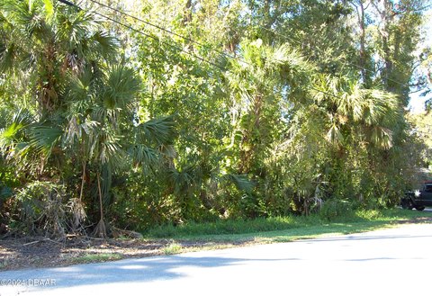 Residential Land in New Smyrna