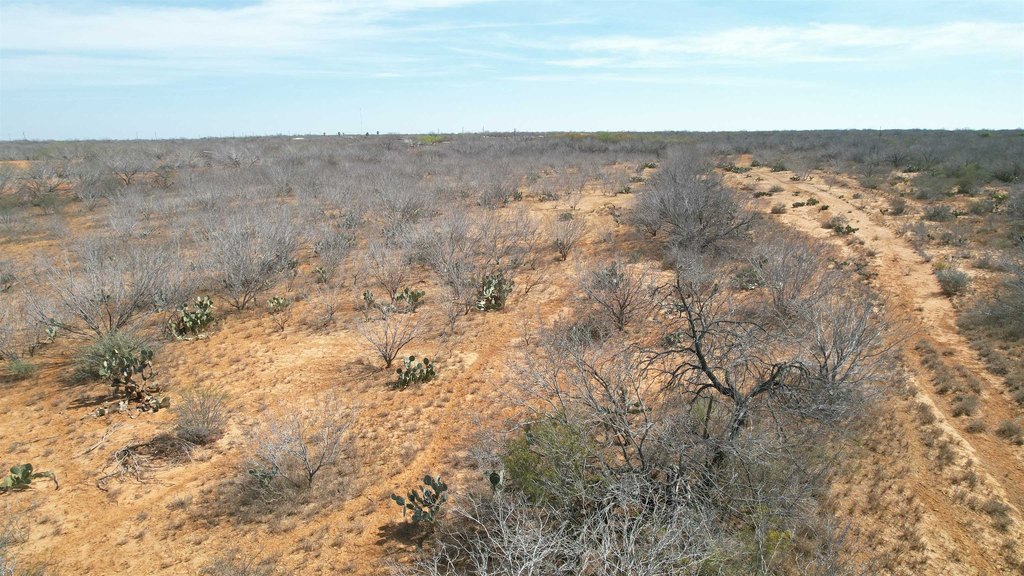 Picture 11