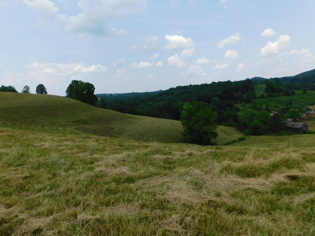 Expansive Farm with Mineral Rights