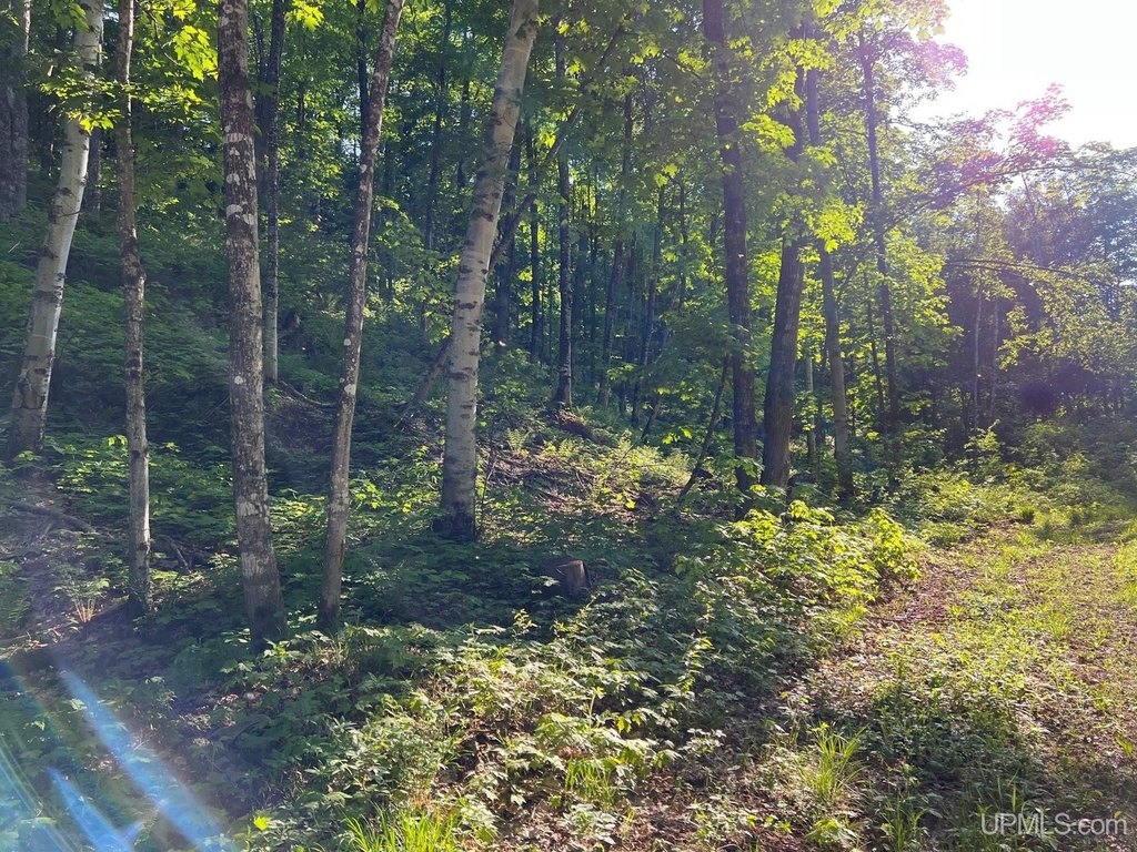 Picture 21