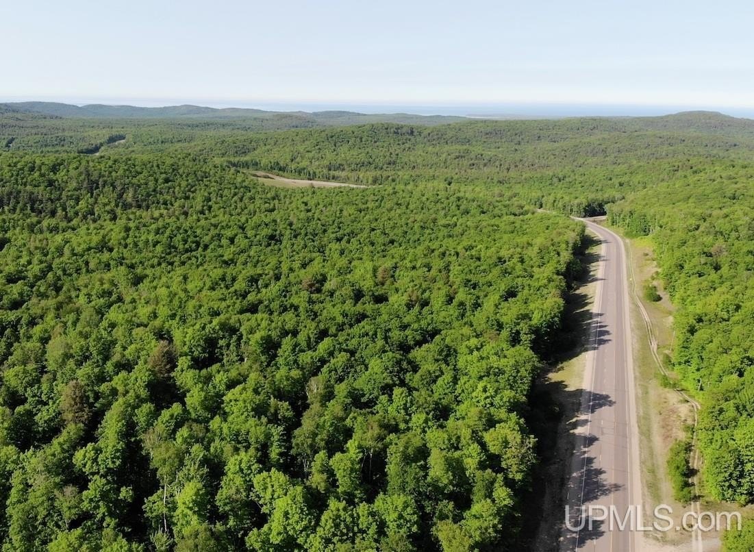 359 Acres of Timberland