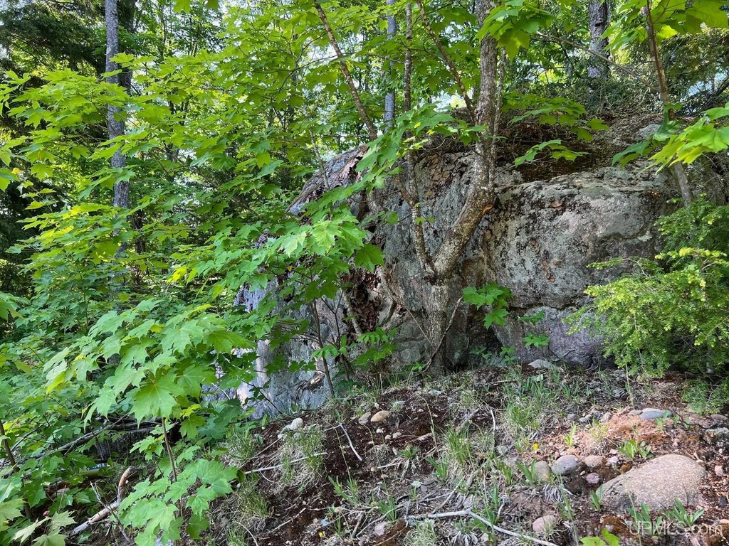 Picture 19