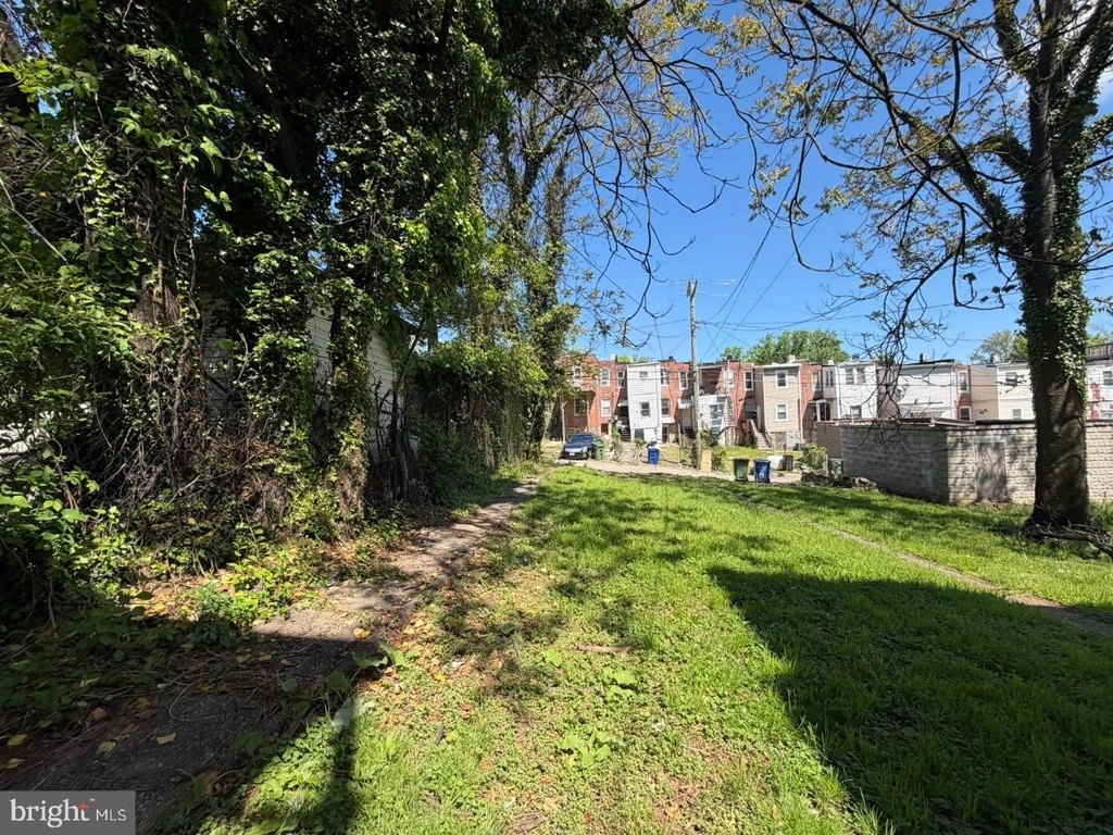 Picture 19