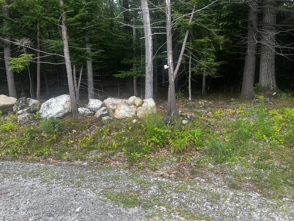 Picture 31