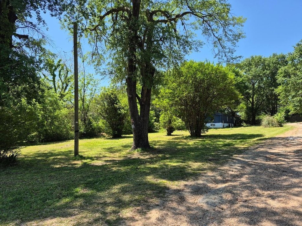 Picture 19