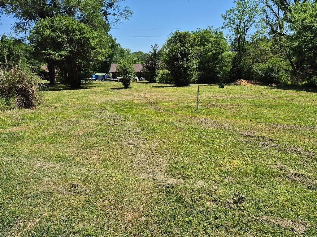 Picture 23