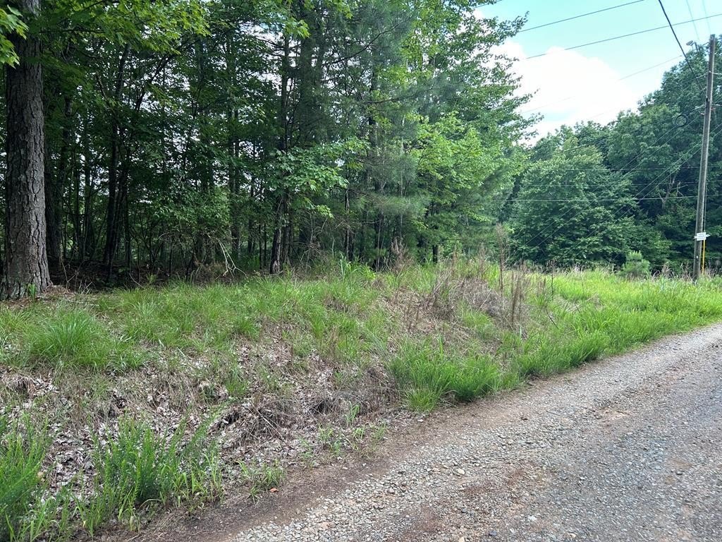 Picture 2