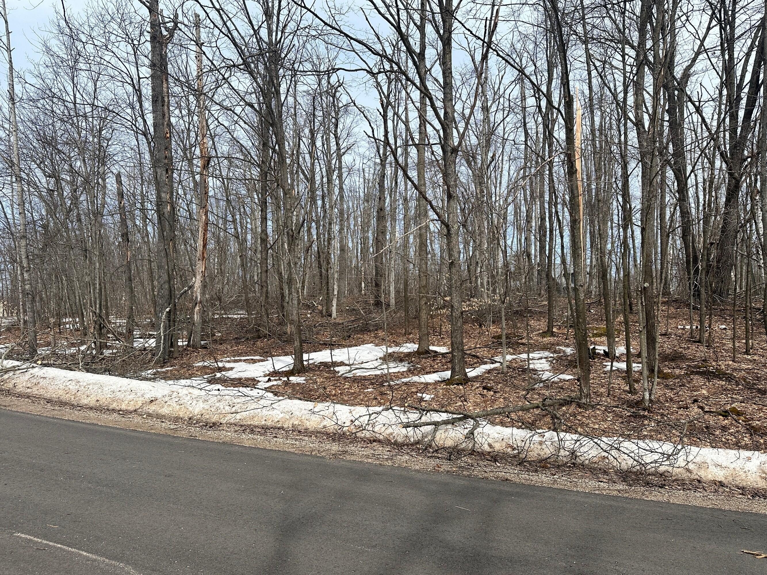 Buildable Lot in Michaywe