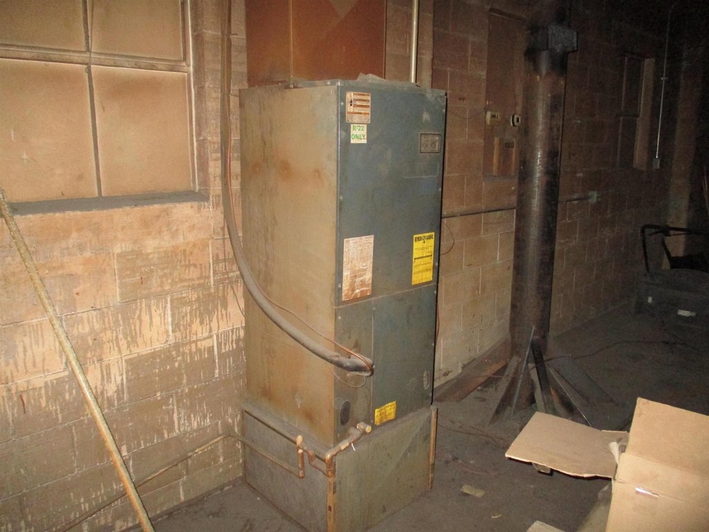 Picture 22