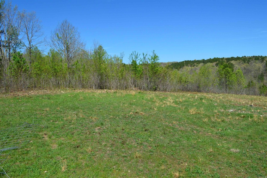 Picture 3