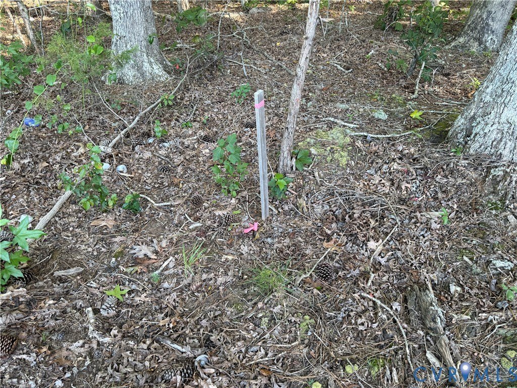 Picture 14