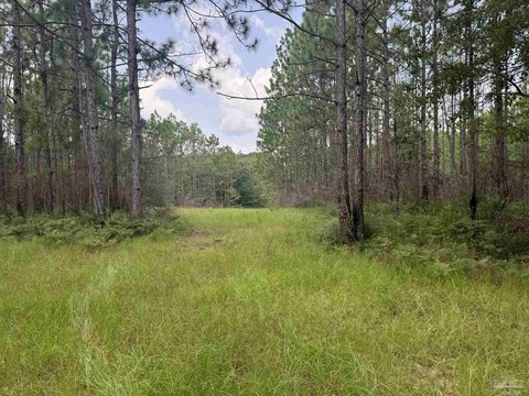 Wooded Hunting Land
