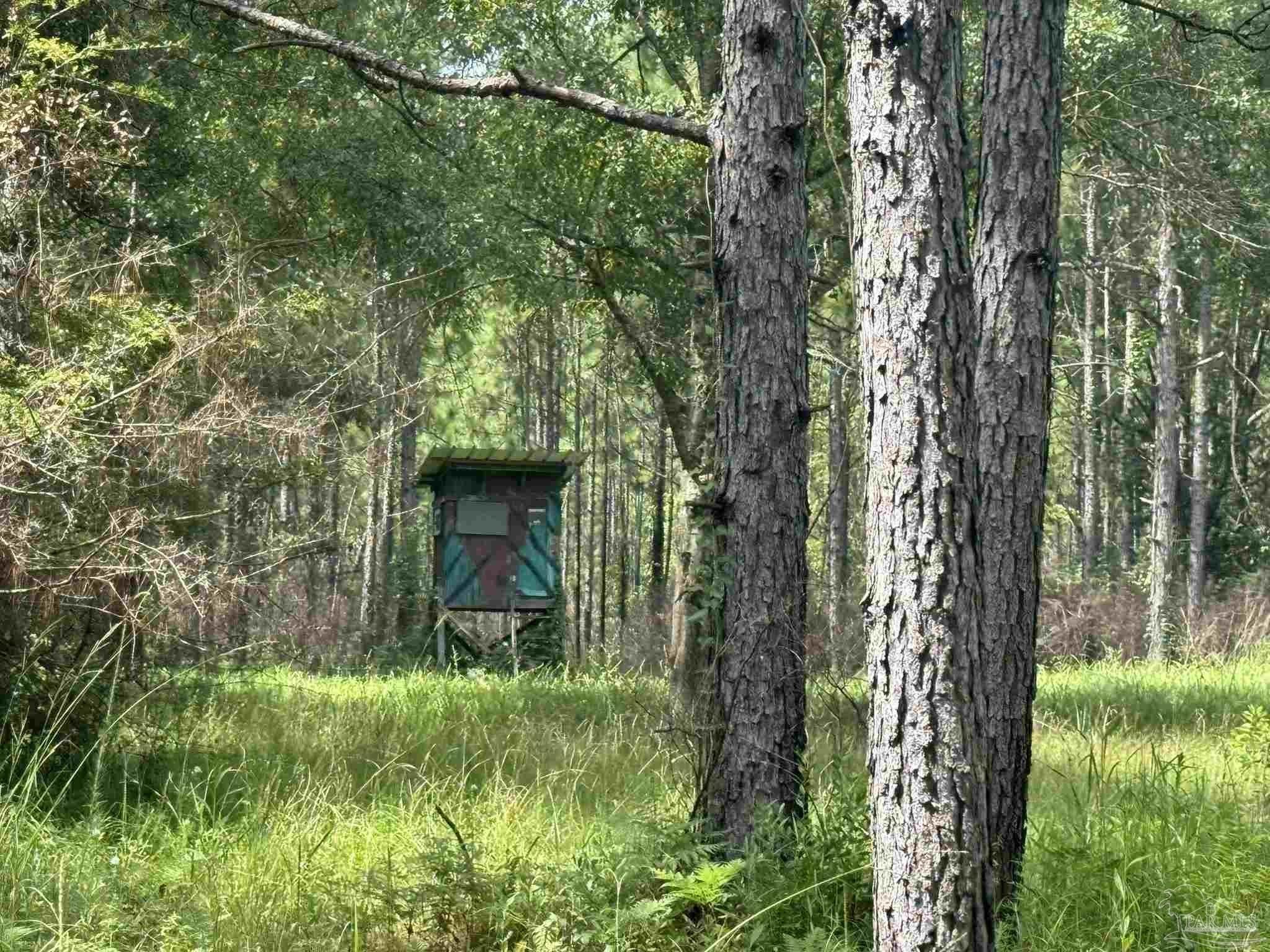 278+/- Acre Hunting Land