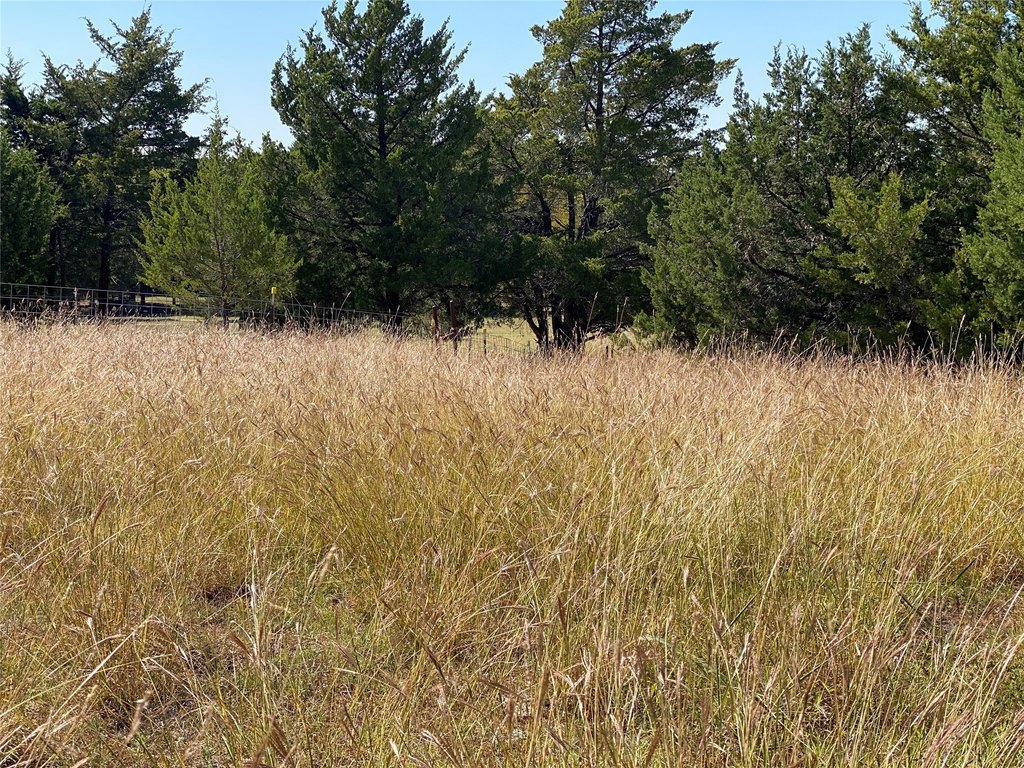 Picture 31