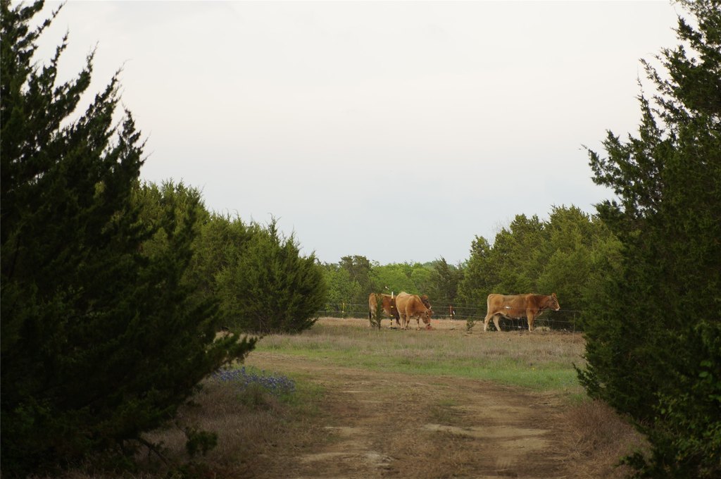 Picture 25