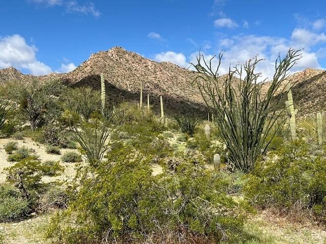 Secluded Desert Land with Cabin