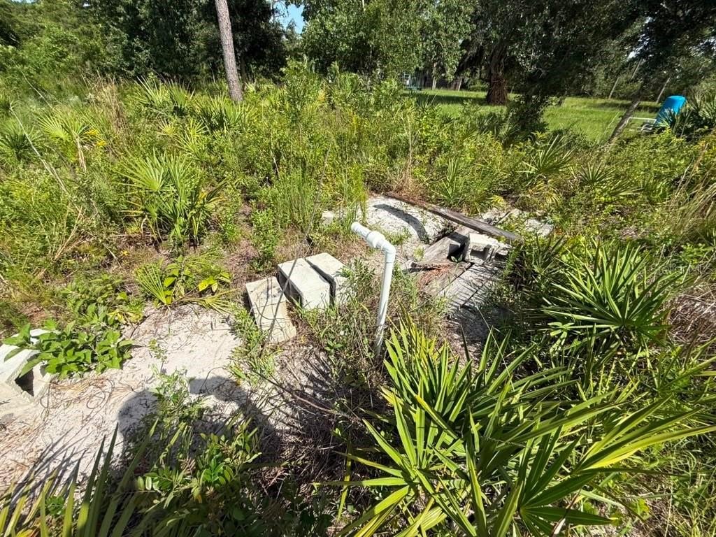 Picture 10