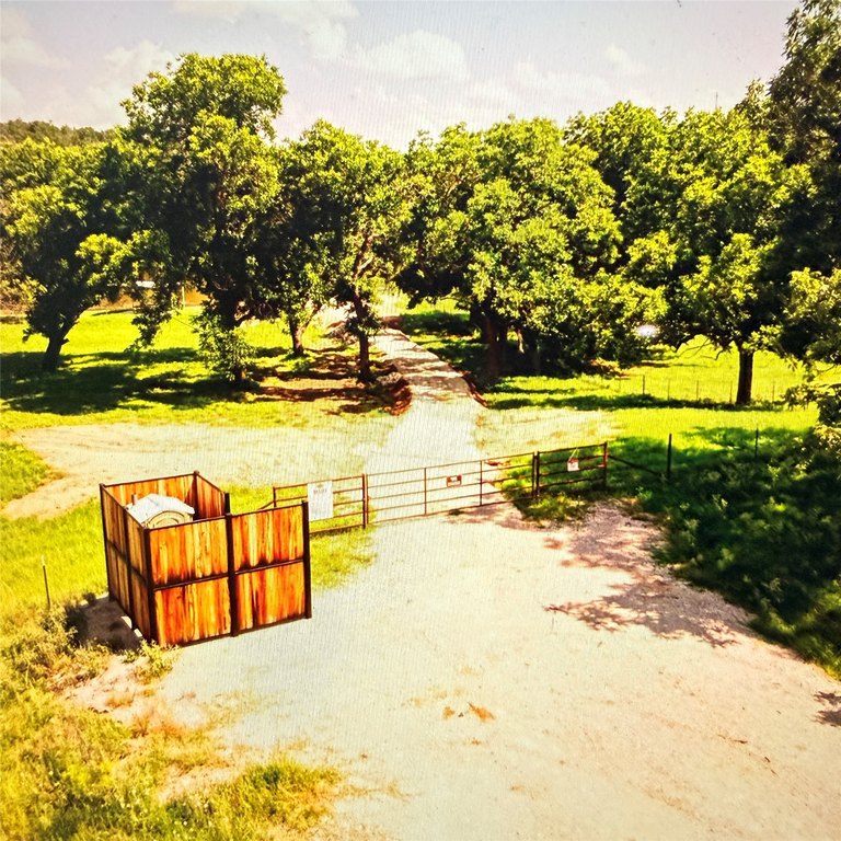 Picture 7