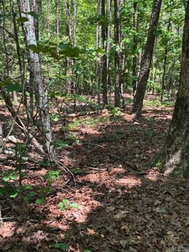Residential Lot in Hot Springs
