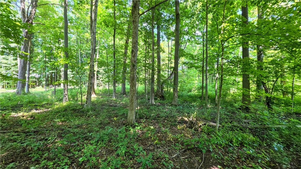 Picture 11