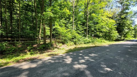 LAND - Freeville, NY