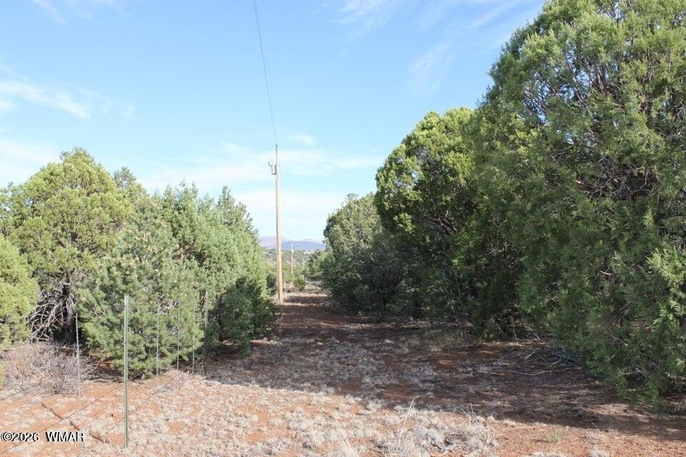 Picture 7