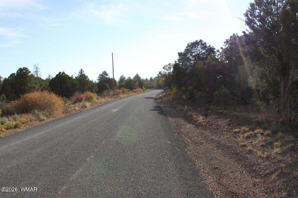 Picture 10
