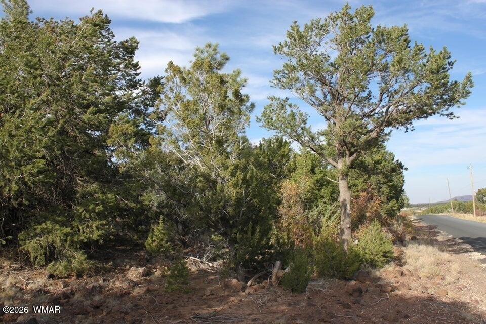 Picture 11