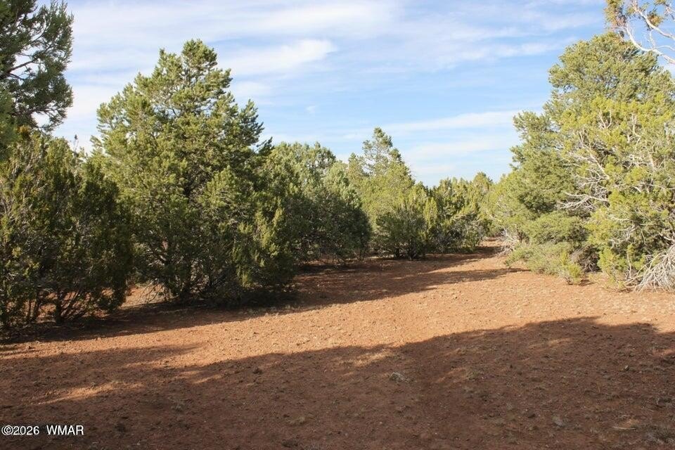 Picture 14