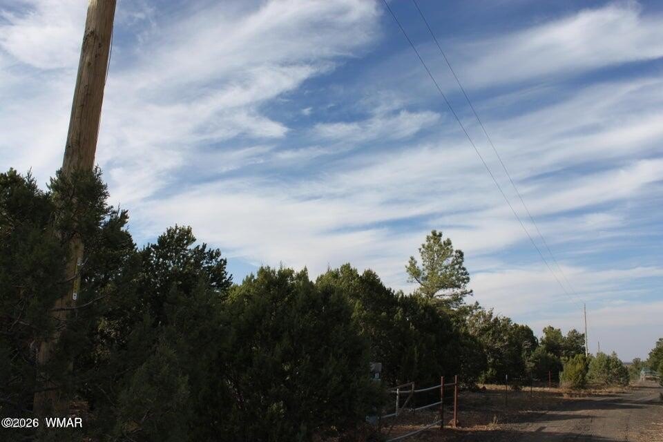 Picture 9