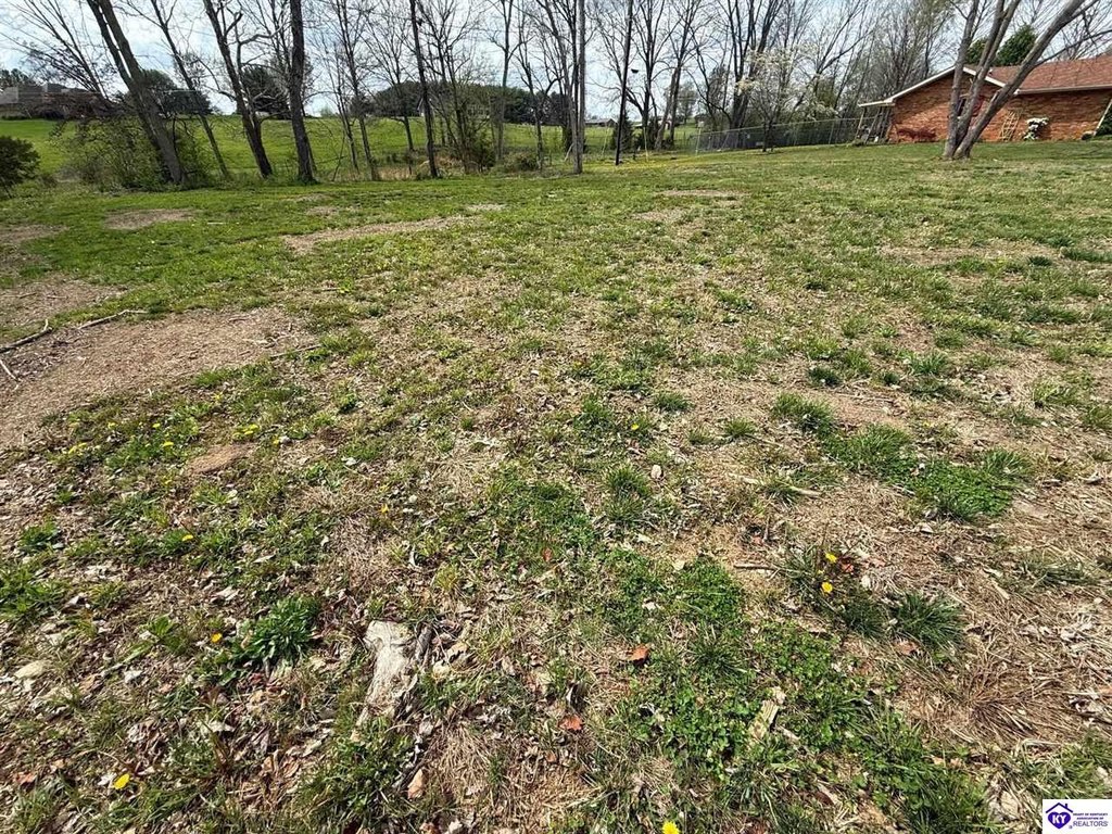 Picture 4