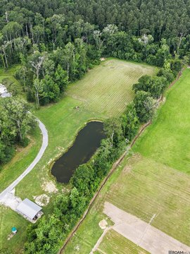 Land, Livingston, LA