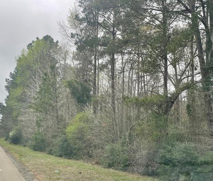 Jasper, TX Wooded Acreage