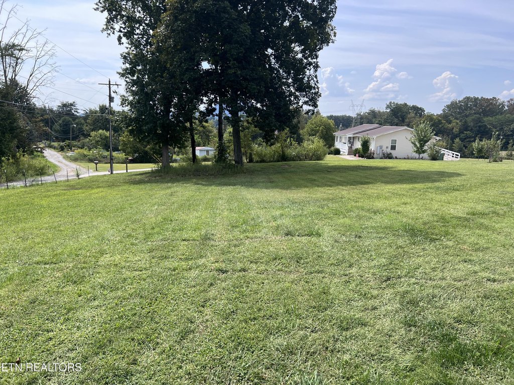 Picture 16