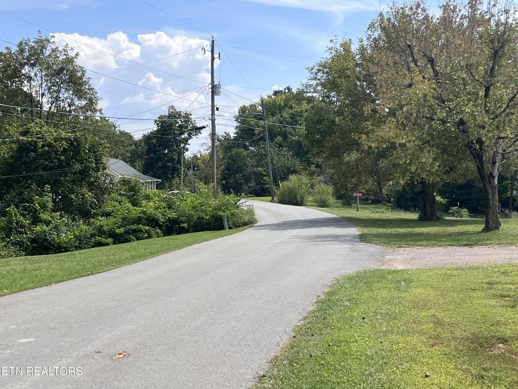 Picture 20