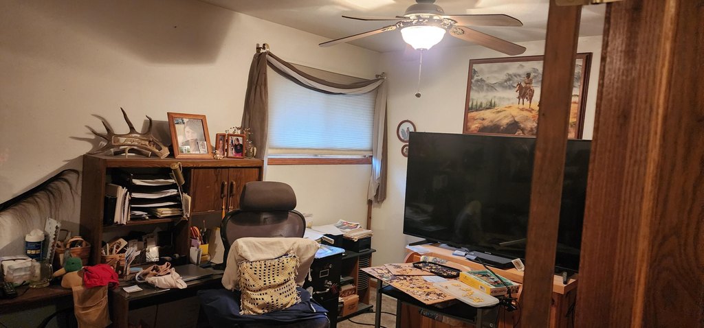 Picture 5