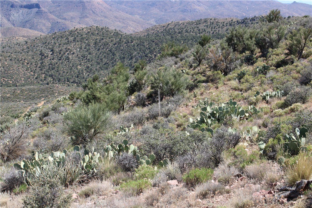 Remote Land Bordering State Land