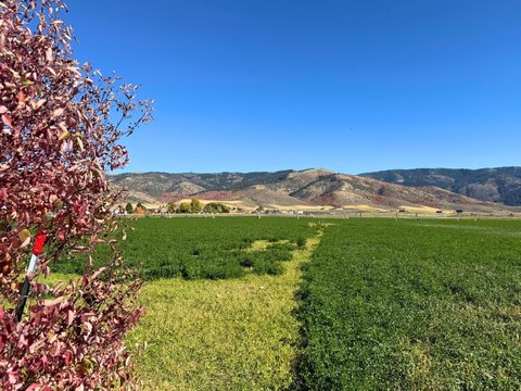 LOTS/LAND, Grace, ID