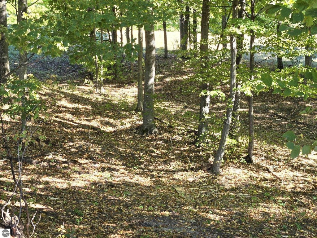 Picture 4