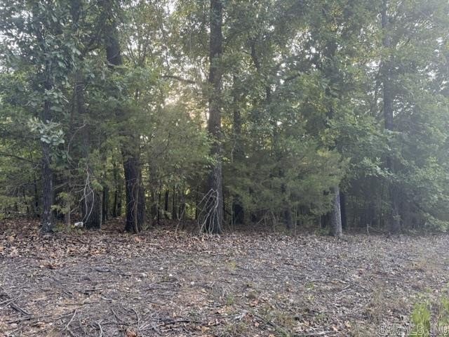 Picture 4