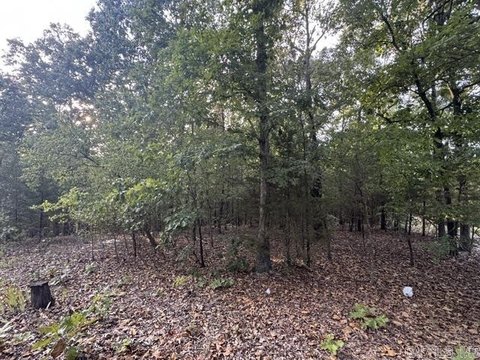 Vacant Land, Ravenden Springs, AR