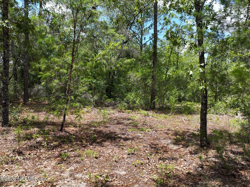 Picture 11