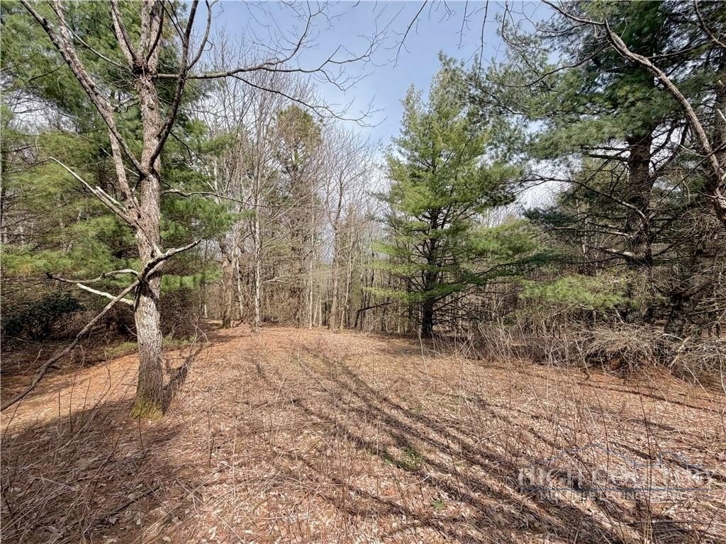 Picture 20