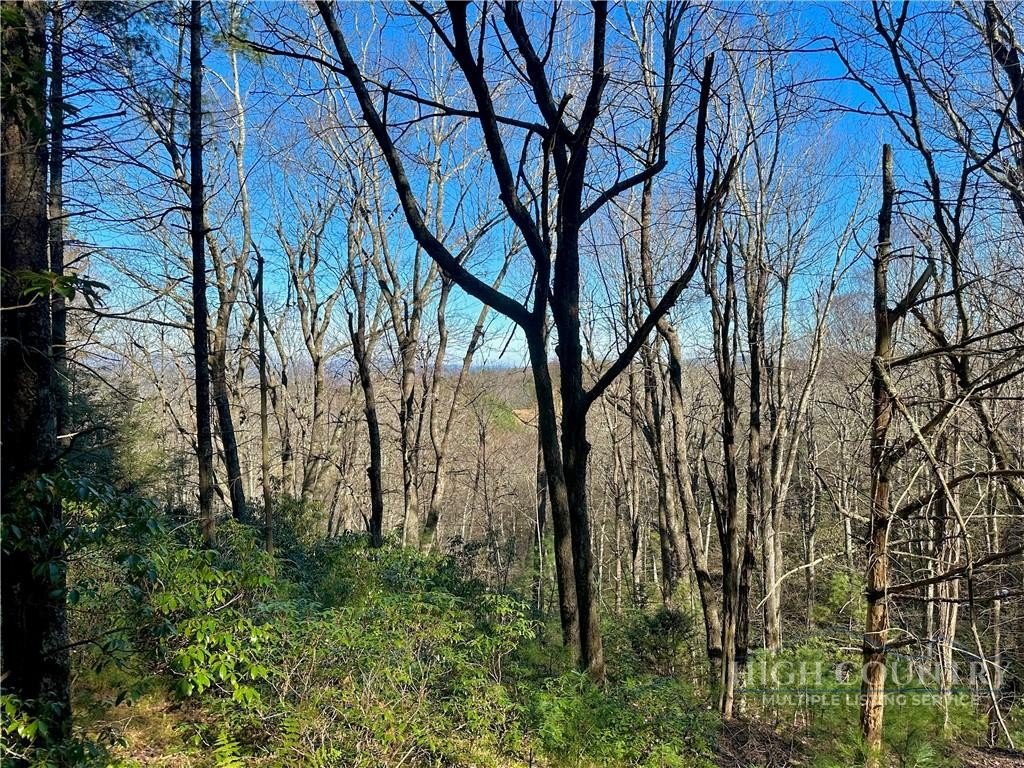 Picture 43