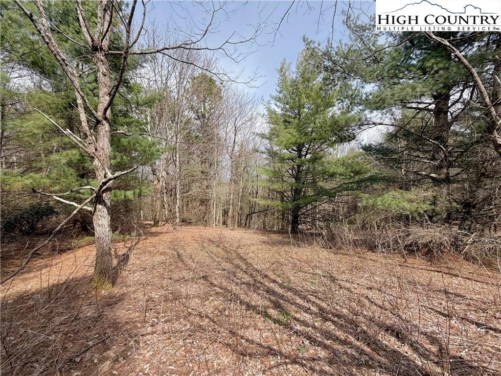 Picture 19