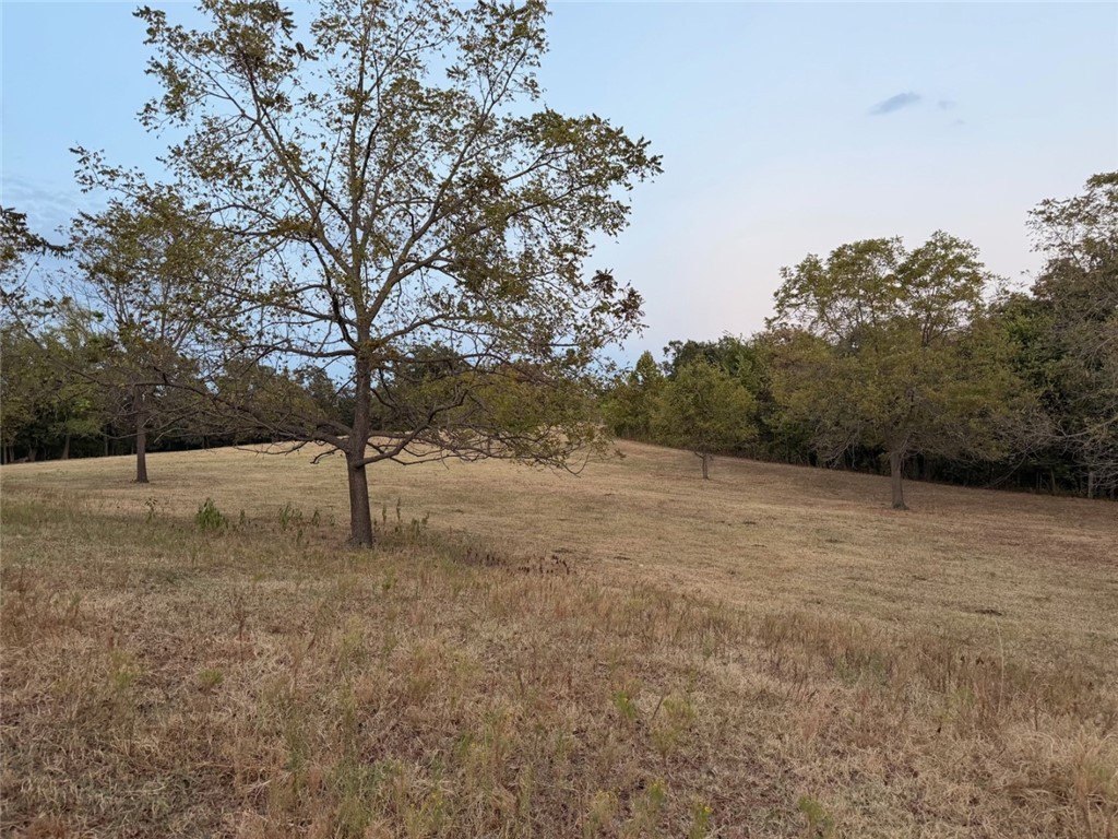 Picture 17